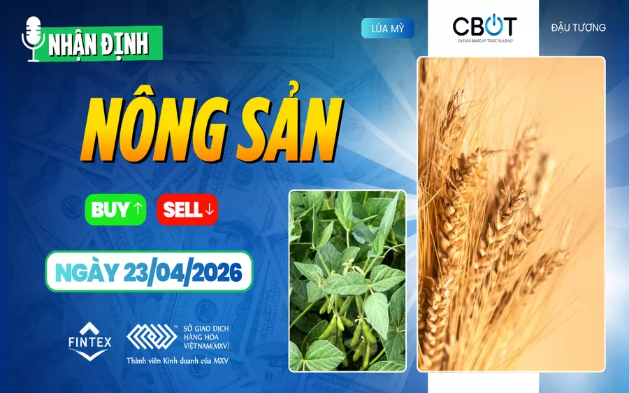 NHẬN ĐỊNH THỊ TRƯỜNG NÔNG SẢN NGÀY 23/04/2026